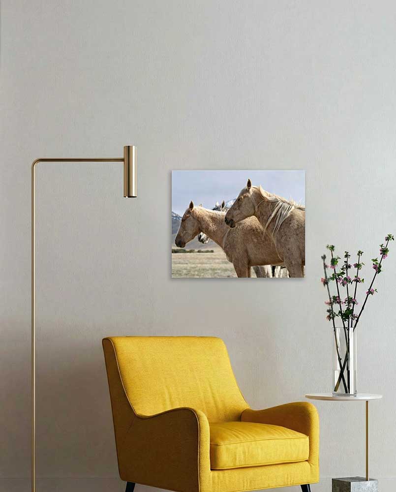 Stillness - Wild Horse Metal Art Print